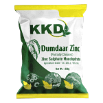 dumdaar zinc