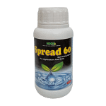 Spread 60