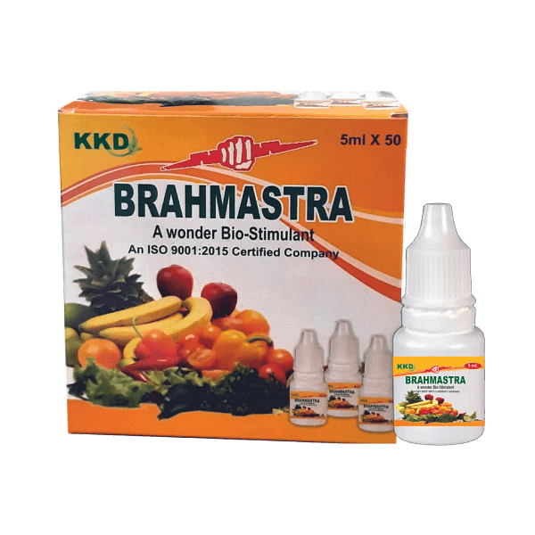 Brahmastra